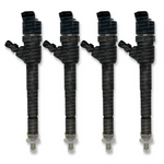 Cargar imagen en el visor de la Galería, Kit FULL INYECCIÓN Original Bosch Mahindra Pik Up 2.2 - Scorpio 2.2 - XUV500 2.2 Euro 5 0445110498 0305BAM00270N